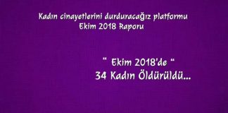 canemregundem.com-kadin-cinayetlerini-durduracagız-platform-ekim-raporu