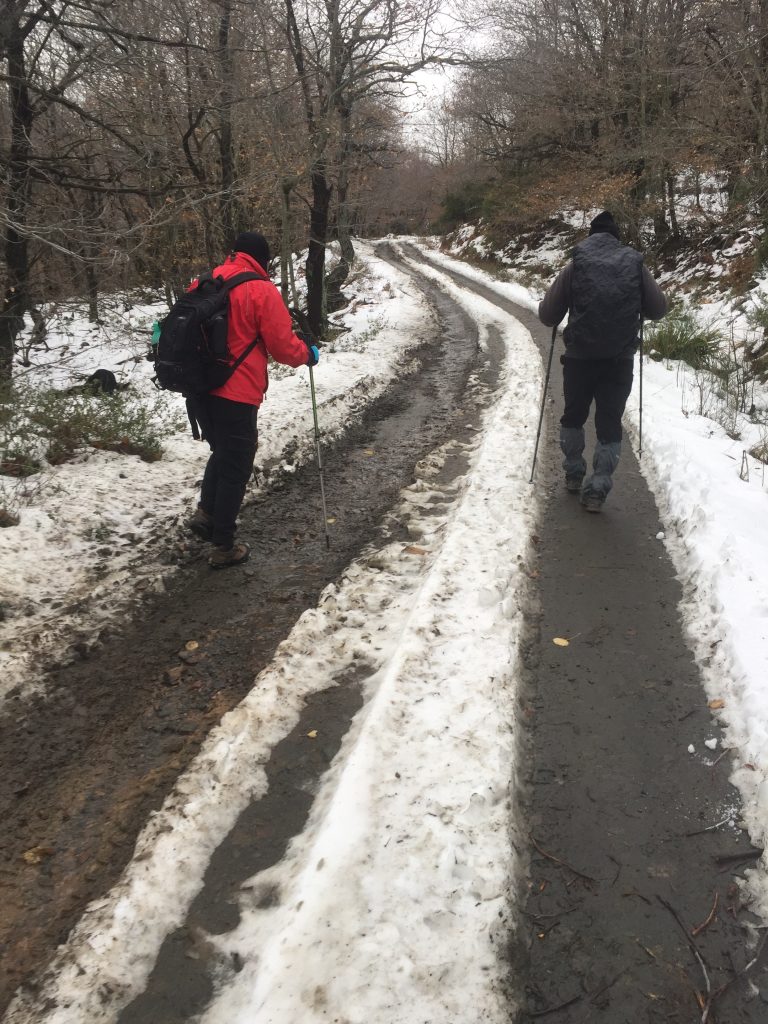 Bandak Kapıdağ