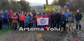 Artema Yolu