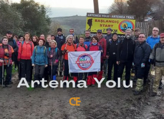 Artema Yolu