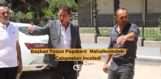 Başkan Tolga Tosun İncelemelerde Bulundu