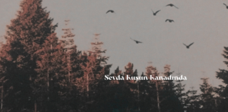 sevda kuşun kanadında