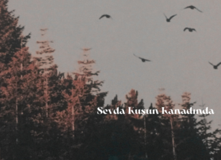 sevda kuşun kanadında