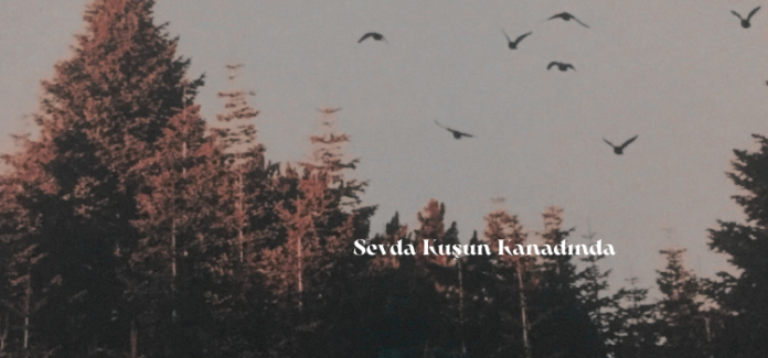 sevda kuşun kanadında